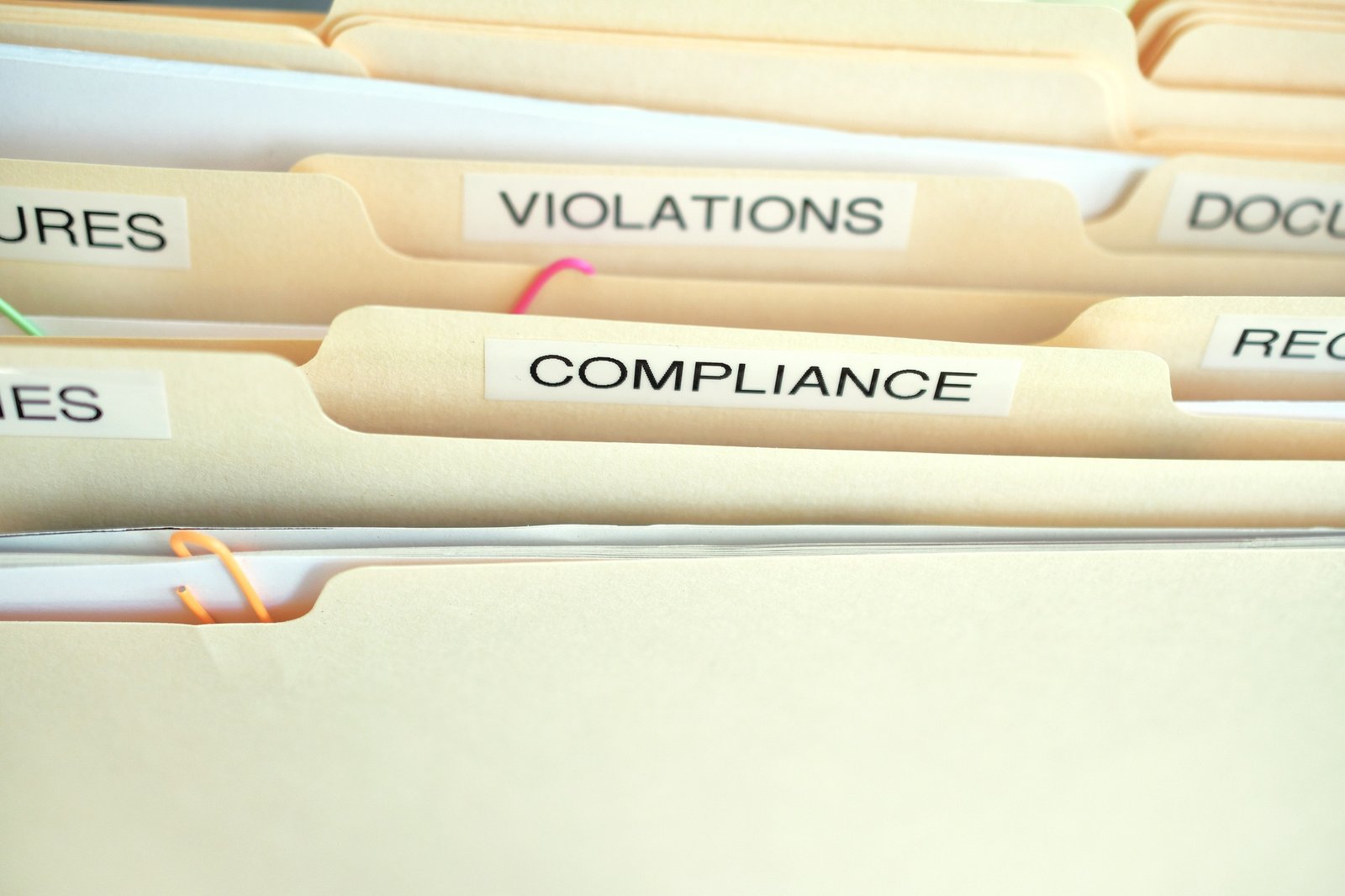 Simplifying ROC Compliance Filing Services in India